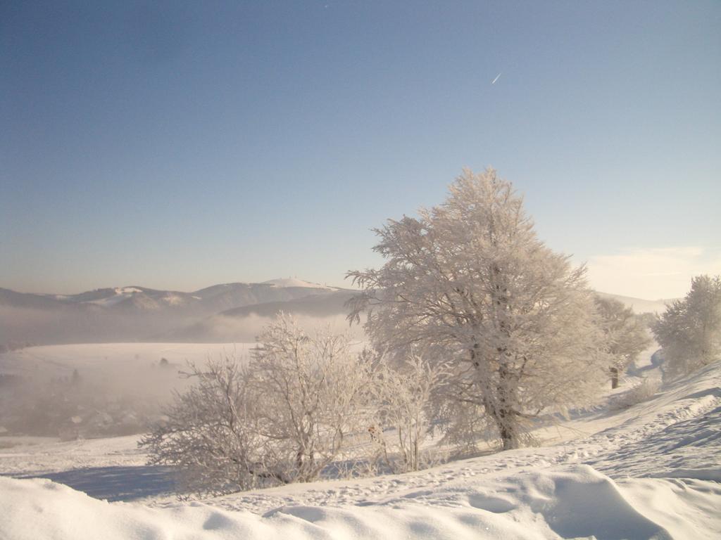 Gasthaus Sonne ミュンスタータール エクステリア 写真