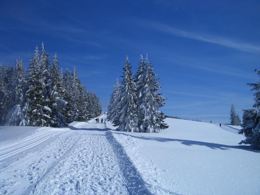 Gasthaus Sonne ミュンスタータール エクステリア 写真
